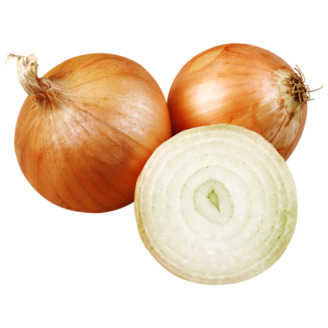 Cibule