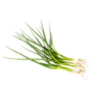 Cibule lahůdková - svazek