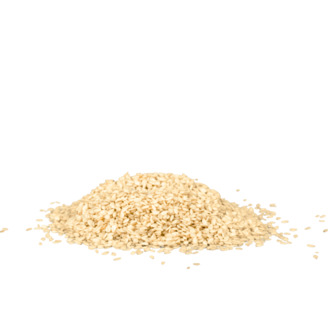 Sezam 100g /20x