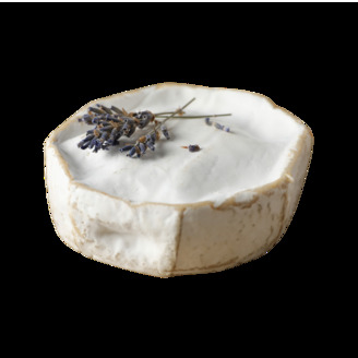 Plísňový sýr 120g /24x