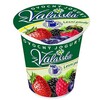 JOGURT ovocný lesní směs 150g [10x]