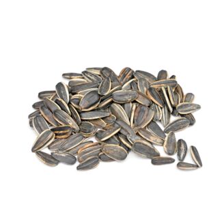 Slunečnicová semínka 100g /30x