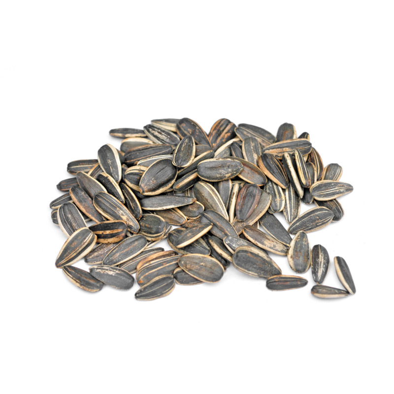 Slunečnicová semínka 100g /30x