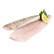 MRAŽ. Candát filet 120-170g 10% /5kg