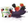 Přesnídávka Vitaminátor jablko-jahoda-ostružina 100% 120g /20x
